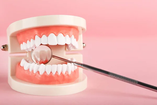 Modelo Dentes Com Espelho Dental Fundo Rosa — Fotografia de Stock