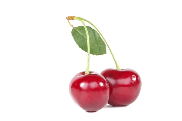 Cerezas Dulces Con Hoja Verde Aisladas Sobre Fondo Blanco — Foto de Stock