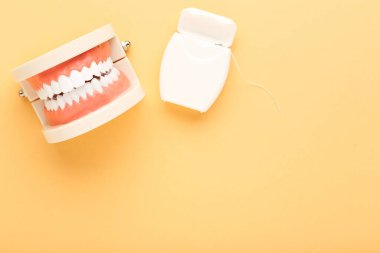 Bej arka planda diş ipliği olan diş modeli