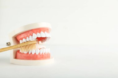 Beyaz arkaplanda izole edilmiş diş fırçası modeli