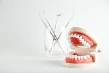 Gri arkaplanda diş aletleri olan diş modeli