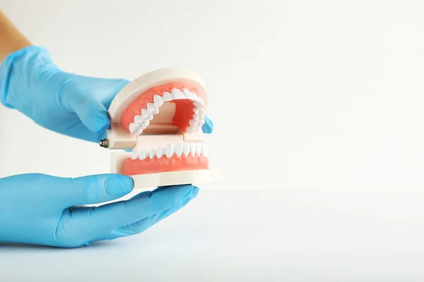 Teeth Model Dentist Hands Grey Background — Stock Photo, Image