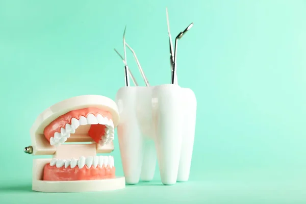 Modelo Dientes Con Instrumentos Dentales Sobre Fondo Verde —  Fotos de Stock