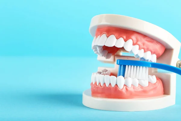 Modello Denti Con Spazzolino Denti Sfondo Blu — Foto Stock