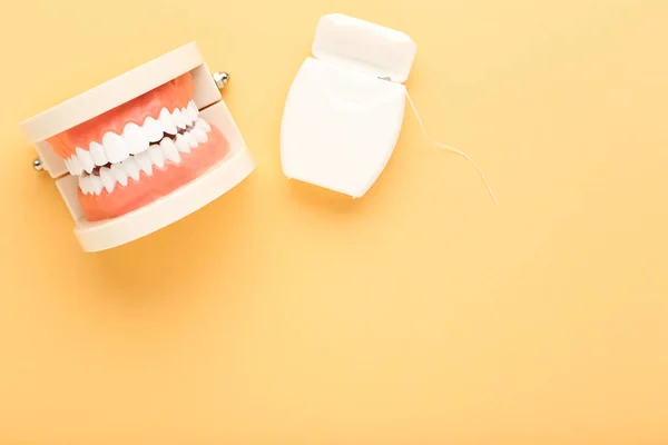 Teeth Model Dental Thread Beige Background — Stock Photo, Image