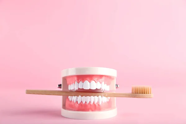 Modello Denti Con Spazzolino Denti Sfondo Rosa — Foto Stock