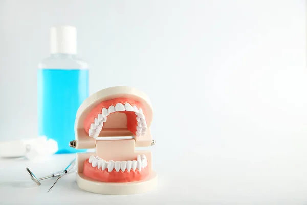 Modelo Dentes Com Garrafa Enxaguatório Bucal Instrumentos Odontológicos Fundo Cinza — Fotografia de Stock