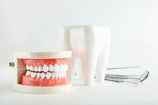 歯のモデルと歯の楽器のグレーの背景 — ストック写真