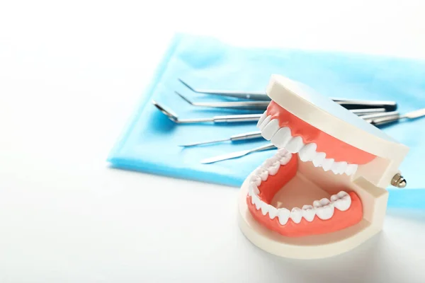 Модель Зубов Зубными Инструментами Белом Фоне — стоковое фото