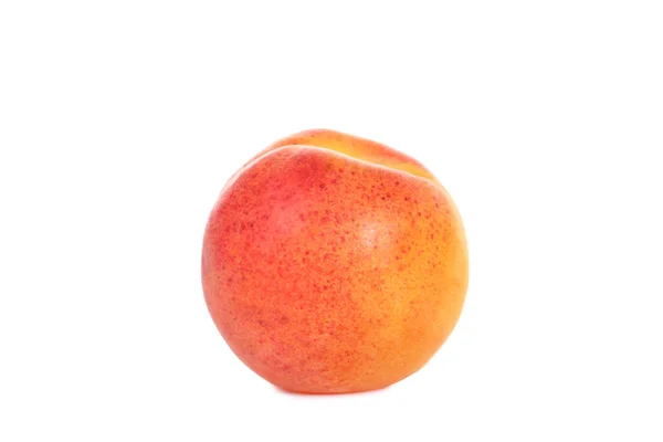 Sweet Apricot Isolated White Background — Stock Photo, Image