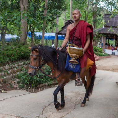 Chiang Rai, Tayland - 21 Mayıs 2016: bir binicilik altın at Tapınağı % 28wat Phra Arça tanga % 29 genç Budist rahip.