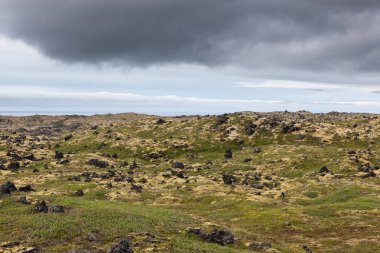 Bir bulutlu gün güzel sahne yeşil İzlanda kalın yosun ile üzerinde yeşil İzlanda lndscape ve