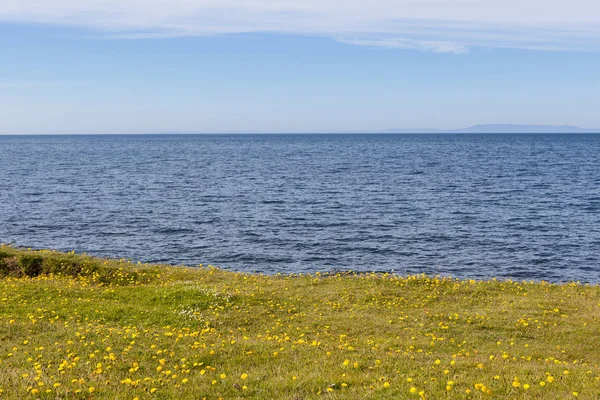 Lakoniska Island landskap tre lager av grön äng fylld med gula maskrosor djupblå — Stockfoto