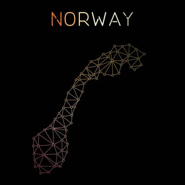 Norveç ağ harita soyut poligonal harita tasarım ağ bağlantıları illüstrasyon vektör