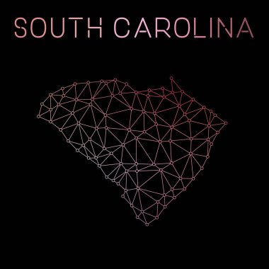 Devlet bize tasarım ağ bağlantıları vektör harita Güney Carolina Ağ Haritası soyut çokgen