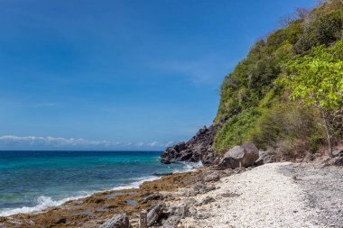 APO Island sahil yeşil orman ile