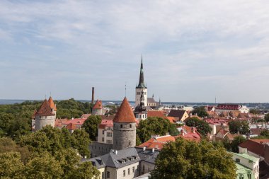 Tallinn kiliseleri ve steeples güzel havadan görünümü Avrupa kuleleri Ortaçağ kenti çatı görünümü