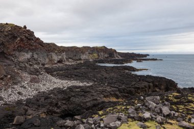 Beach gri kaya ve görünümü melankolik İzlanda manzara siyah volkanik lav ile kaplı