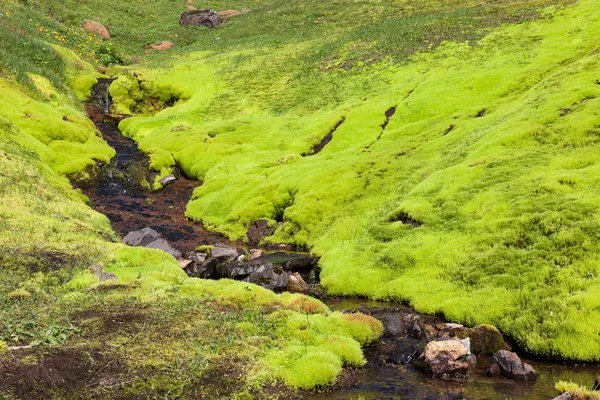 Islandia musgo paisaje Pequeño arroyo del río que corre por la brillante colina verde musgoso en Islandia —  Fotos de Stock