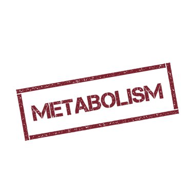 Metabolizma dikdörtgen damga dokulu kırmızı mühür ile izole beyaz arka plan vektör üzerinde metin