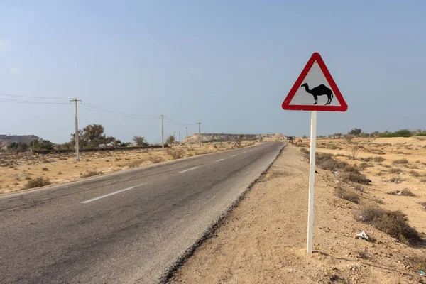 Road sign Beware of camels Funny and unusual road sign in iranian desert Road sign with camel