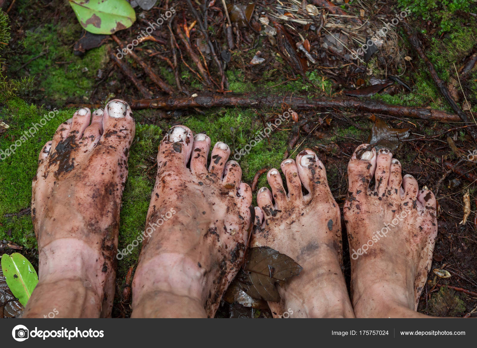 Pies sucios sobre musgo en la selva Caminando en la selva tropical
