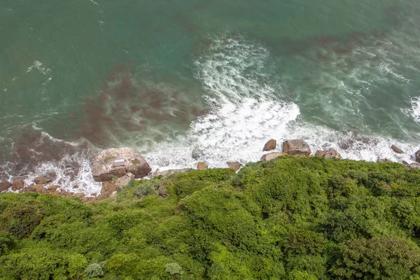 Зеленая пышность и море у побережья Явы в Индонезии — стоковое фото