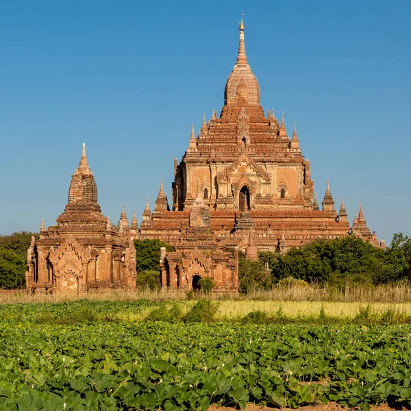 Old Brick Burmese Temple Buddhist pagoda in Bagan Myanmar — Stock Photo, Image
