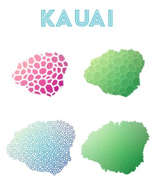 Kauai poligonal Adası Haritası mozaik stilini koleksiyonu parlak soyut mozaik geometrik haritalar