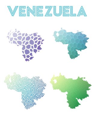 Venezuela poligonal harita mozaik tarzı koleksiyon parlak soyut mozaik geometrik düşük haritalar