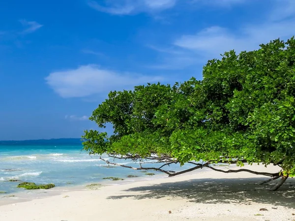 Зеленый пляж с белым песком и бирюзовое море на андаманском острове Хавелок — стоковое фото