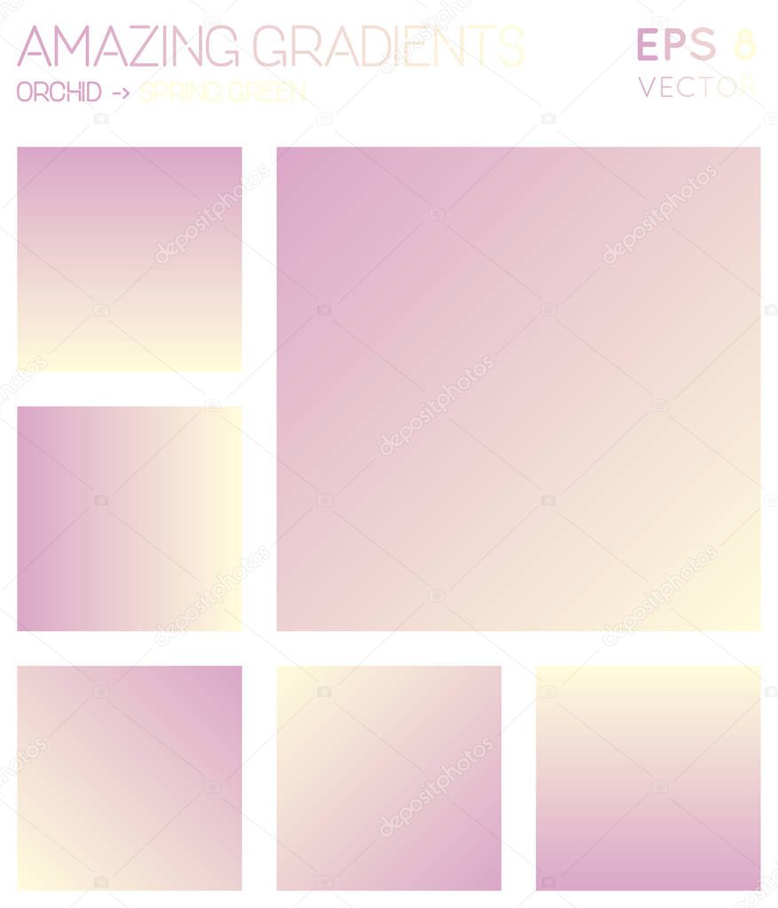 Colorful gradients in orchid spring green color tones Adorable gradient background bewitching