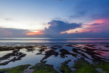 Rocky coast at Bali island at sunset. Rocks covered with green algae. Beautiful Balinese landscape.