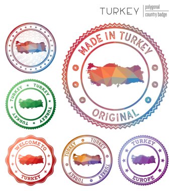 Hindi rozeti. Renkli çokgen ülke sembolü. Çok renkli geometrik hindi logoları. Vektör illüstrasyonu.