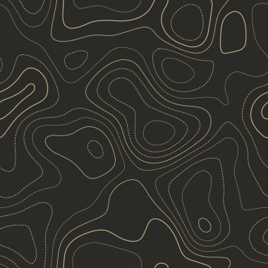 Topografik harita arkaplanı Gerçek topoğrafya haritası Kusursuz tasarım Güçlü döşeme izolinler