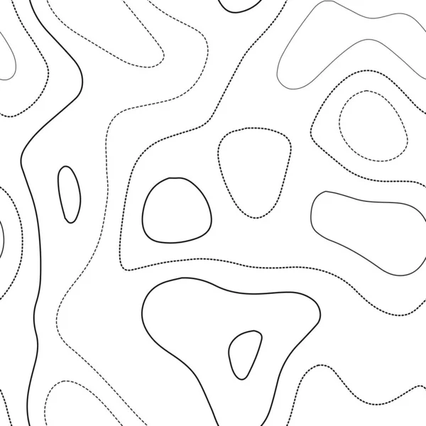 Abstract topography Admirable topography map Black and white seamless design classic tileable — Wektor stockowy