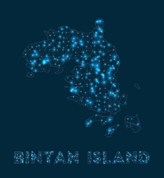 Bintan Island Network Map Abstract Geometric Map Island Internet Connections — стоковый вектор
