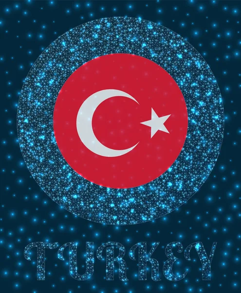 Runda Turkiet emblem Turkiets flagga i glödande nätverk mesh stil Land nätverk logotyp Trendig — Stock vektor
