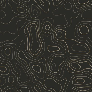 Topografik hatlar Gerçek topoğrafya haritası Kusursuz tasarım Şirin kaplanabilir izolinler şablon vektörü