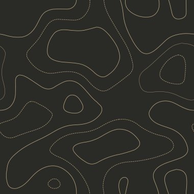 Topographic contours. Admirable topography map. Seamless design. Bizarre tileable isolines pattern, vector illustration.