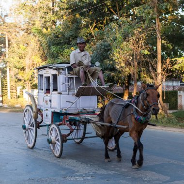 Pyin Oo Lwin  Nov 28 2014 Horse cart driver in Pyin Oo Lwin town in Myanmar Coachman dirving clipart
