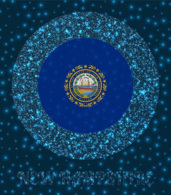 New Hampshire rozeti New Hampshire bayrağını parıldayan ağ tarzında ABD devlet ağında