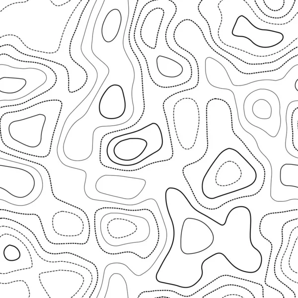 Carte topographique fond Carte topographique réelle Design sans couture noir et blanc attrayant — Image vectorielle