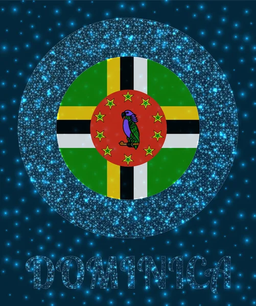 Ronde Dominica badge Vlag van Dominica in gloeiende netwerk gaas stijl Landelijk netwerk logo Netjes — Stockvector