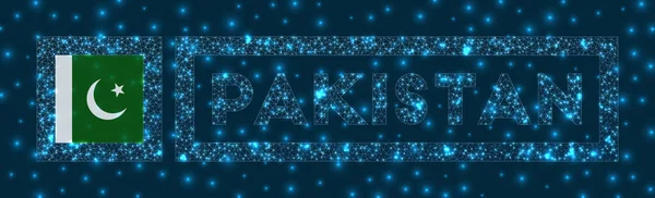 巴基斯坦徽章巴基斯坦国旗在发光网络几何风格创作矢量图解 — 图库矢量图片
