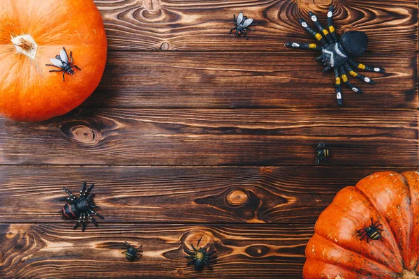 Cadılar Bayramı konseptiyle taze kabak ve örümcekler yakın çekim masanın üzerinde. Üstten yatay görünüm