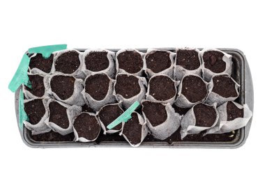 Beyaz arka planda siyah plastik bir kapta toprak bulunan beyaz dokuma kumaş torbaları. İzole edilmiş ev filizleri toprağa filizleniyor. Topraktaki isim levhaları.