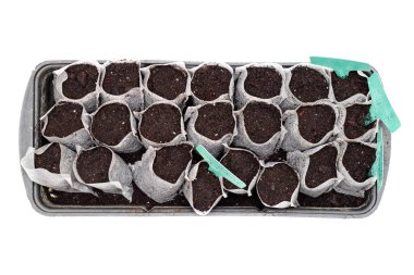 Beyaz arka planda siyah plastik bir kapta toprak bulunan beyaz dokuma kumaş torbaları. İzole edilmiş ev filizleri toprağa filizleniyor. Topraktaki isim levhaları.