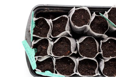 Beyaz arka planda siyah plastik bir kapta toprak bulunan beyaz dokuma kumaş torbaları. İzole edilmiş ev filizleri toprağa filizleniyor. Topraktaki isim levhaları.