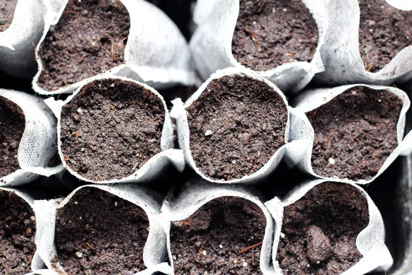 White woven fabric bags with soil in a black plastic container against white background. Isolated home sprouting seedlings process in the ground. Name plates in the dirt.